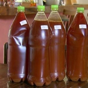 Buy Ayahuasca Tea Online