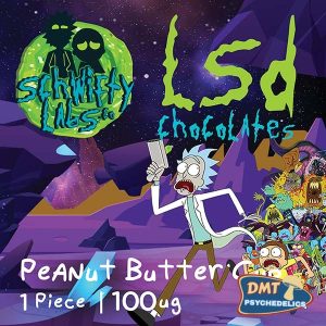 LSD Edible 100ug – Peanut Butter Cup – Schwifty Labs